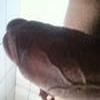 foto do perfil novinho96